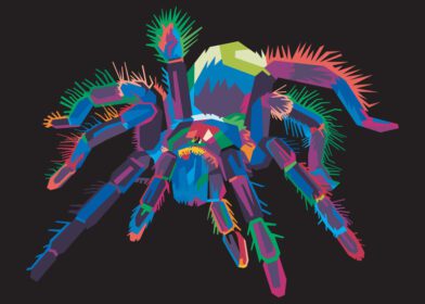 عنکبوت رتیل رنگارنگ در سبک پاپ آرت مجزا