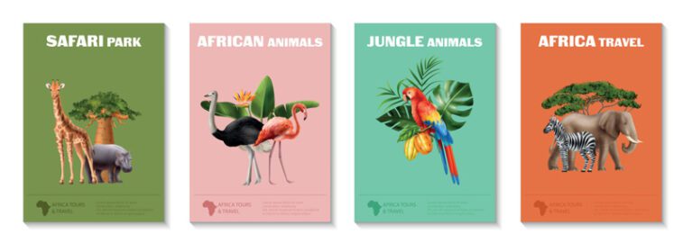 ست پوستر پوستر طبیعت آفریقا
