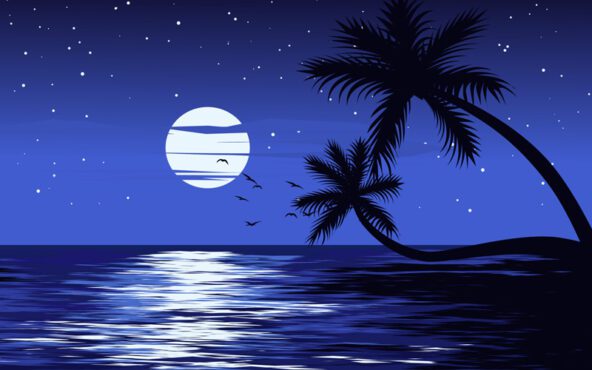 وکتور مناظر شب در دریا با وکتور ستاره های ماه و درختان نخل