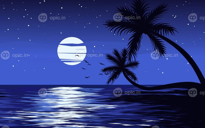وکتور مناظر شب در دریا با وکتور ستاره های ماه و درختان نخل