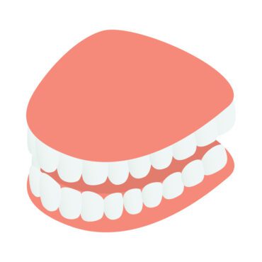 وکتور مدل فک دندان آیکون ایزومتریک سبک سه بعدی