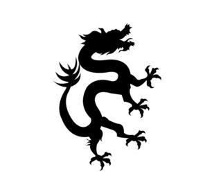 نماد نماد علامت اژدهای سیاه چینی وکتور جدا شده در پس زمینه سفید