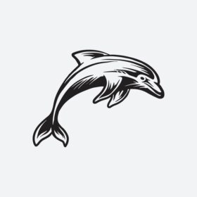 وکتور تصویر دلفین سیاه