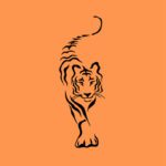 سبد خرید و پرداخت