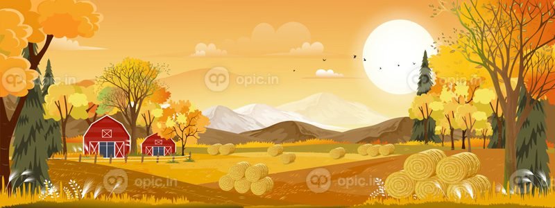 وکتور وکتور چشم انداز پاییزی منظره مزرعه مزرعه با آسمان نارنجی