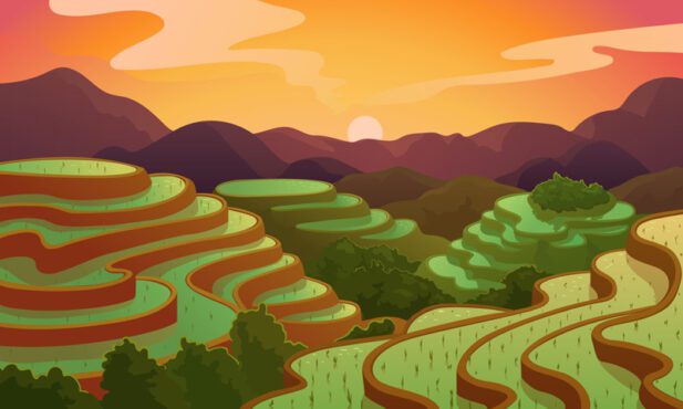 وکتور وکتور منظره برنج چینی تراس مزرعه