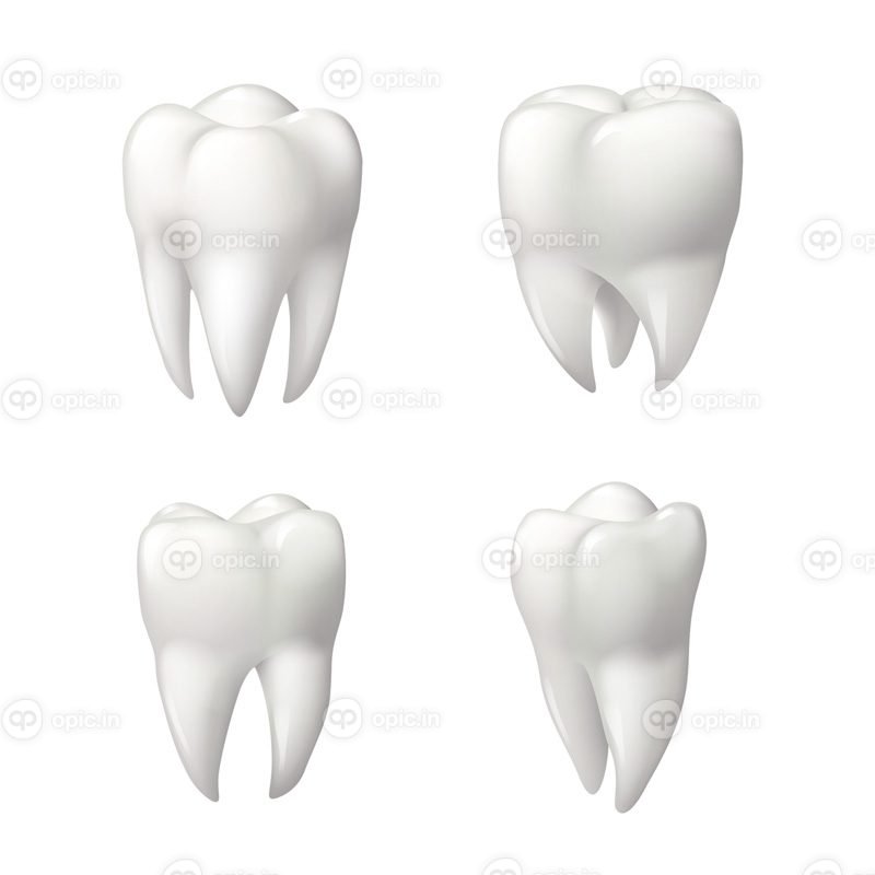 مجموعه آیکون وکتور دندان های سالم برای طراحی دندانپزشکی
