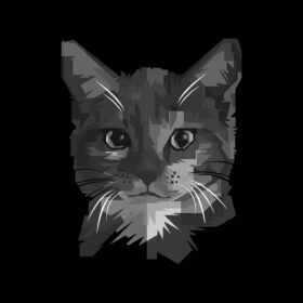 پاپ آرت تصویر گربه حیوانات خلاق هنر خاکستری
