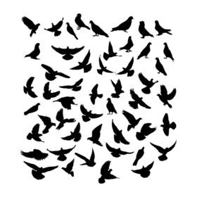 وکتور کبوتر صلح ساز شبح وکتور تصویر کبوتر