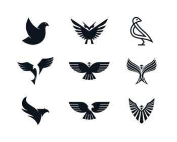 وکتور عقاب کبوتر ققنوس و نمادهای جغد در اشکال مختلف نمادهای پرنده در پس زمینه سفید