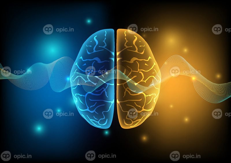 تصویر برداری از امواج مغز و مغز انسان در فناوری