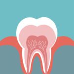 سبد خرید و پرداخت