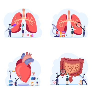 مفهوم وکتور ریه شناسی سیستم فیزیکی و تنفسی