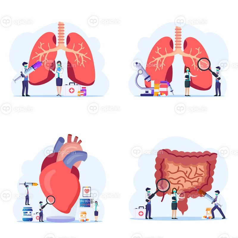 مفهوم وکتور ریه شناسی سیستم فیزیکی و تنفسی