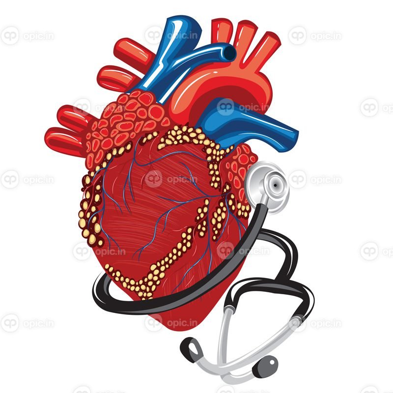 وکتور قلب واقعی با تصویر برداری گوشی پزشکی