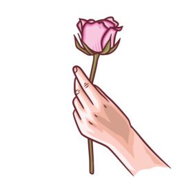 تصویر برداری از دستی که گل های رز را در دست گرفته است