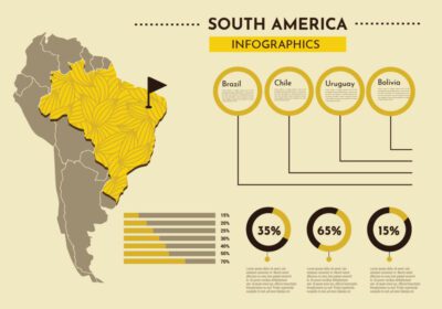 وکتور این اینفوگرافیک نقشه مدرن آمریکای جنوبی برای دانش آموزشی یا پروژه عالی بعدی شما عالی است