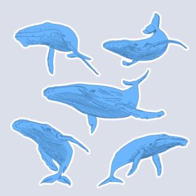 وکتور مجموعه برچسب خالکوبی نهنگ مینیمالیستی