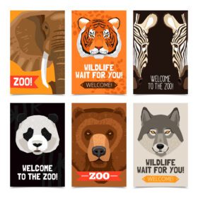 پوستر مینی پوستر با سرهای حیوانات وحشی مختلف روی هر پوستر و تصویر برداری مسطح تبلیغات باغ وحش