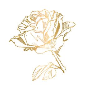 وکتور خالکوبی وینتیج تصویر برداری گل رز با چاپ دستی کشیده شده است