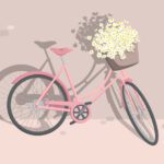 سبد خرید و پرداخت