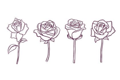 مجموعه ای از گل های رز طراحی شده با دست