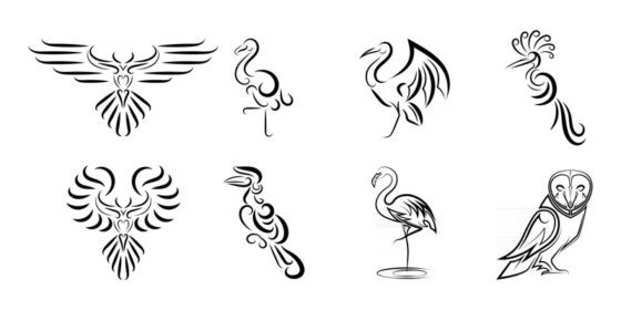 مجموعه وکتوری از تصاویر وکتور خط هنر از پرندگان زیبای مختلف استفاده مناسب برای نماد نماد طلسم نماد نماد و لوگو