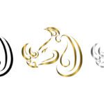 سبد خرید و پرداخت