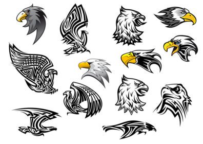 نمادهای وکتور پرنده شاهین عقاب برای طلسم یا خالکوبی
