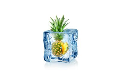 دانلود والپیپر برگ های هنر دیجیتال غذای مینیمالیسم پس زمینه سفید آب قطره میوه آناناس مکعب یخ آناناس گیاه روشنایی گلدان تولید زمین گیاه گیاه گلدار x px