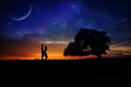 دانلود والپیپر غروب ماه درخت عشق پرندگان عاشق ستاره ستاره زوج فضایی تپه عاشقانه سیاره تیراندازی دنباله دار