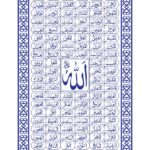 سبد خرید و پرداخت